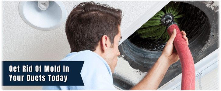 Air Duct Mold Removal in Naperville IL