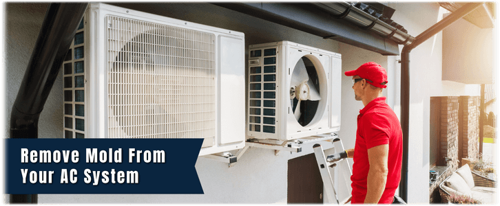 HVAC Mold Removal Naperville IL